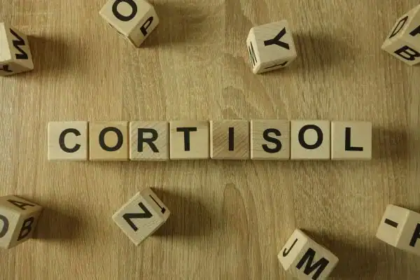 The Hidden Connection: How Stress Shapes Your Fitness and Body Composition 2 Image saying "Cortisol" and how stress Eastbourne impacts your wellbeing and bodies shape